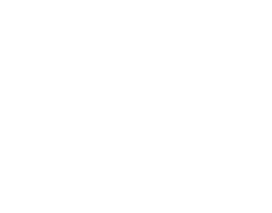 Forsmann Electric Logo White Transparent